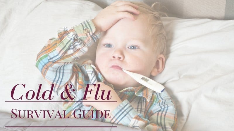 Cold and Flu Survival Guide
