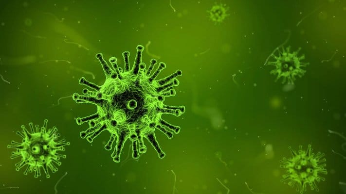 How to Decrease Your Risk For Viral Meningitis